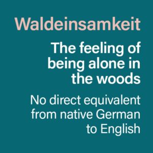 Waldeinsamkeit - the feeling of being alone in the woods - No direct equivalent from native German to English